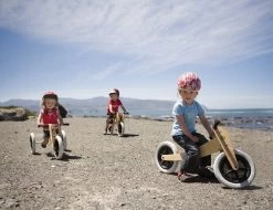 Wishbonebike 3-in-1 Loopfiets 13 Wishbonebike 3-in-1 Loopfiets -Speelgoedwinkel Voor Kinderen loopfiets wishbone bike 4