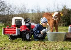 RollyToys Rolly Melkbussen -Speelgoedwinkel Voor Kinderen rolly toys rolly toys 408894 rolly rollybox melkbussen 4 1