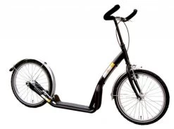 Step Bike2Go