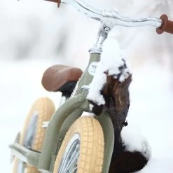 Trybike Steel Green 2in1 Loopfiets Vintage Groen -Speelgoedwinkel Voor Kinderen trybike vintage green 1